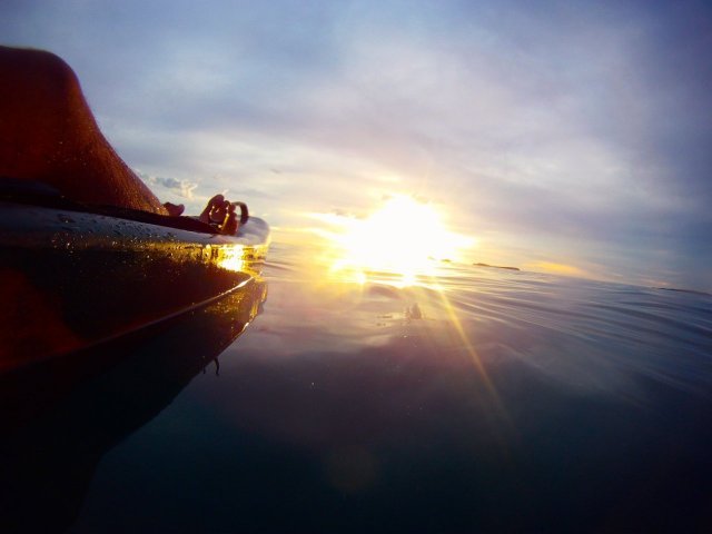 Penguin Island paddle