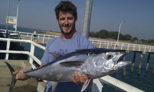 flying dutchfisherman's tuna