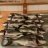 Nornalup Bream 2