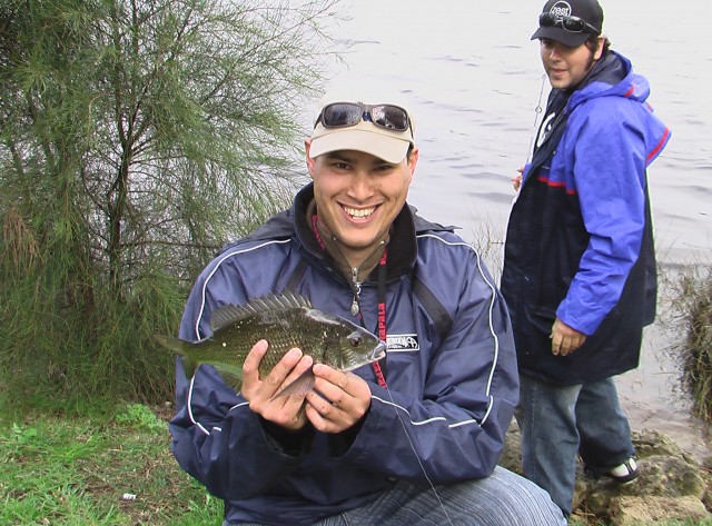 Rickets with winning bream