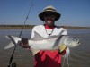 Glenns Threadfin Salmon