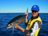 Yellowfin tuna on jig