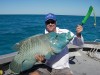 Glenns Maori Wrasse