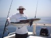 Glenns 11kg Cobia