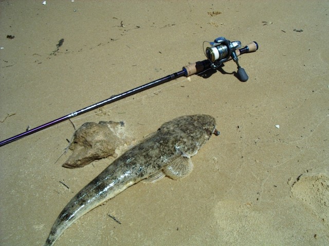 first cast flathead