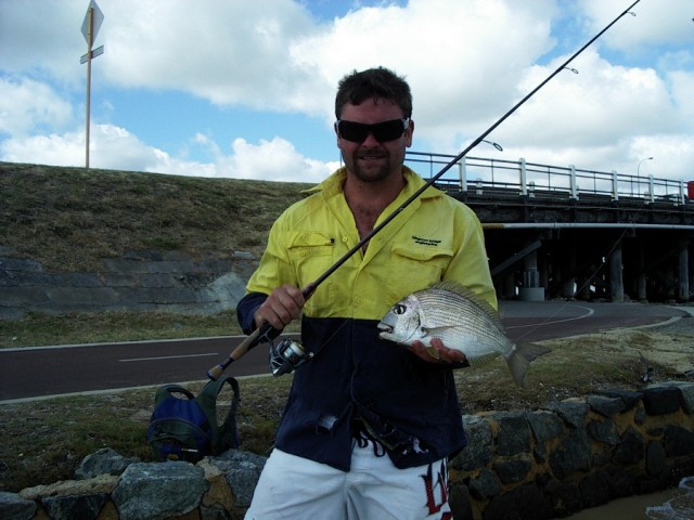 PB tarwine 