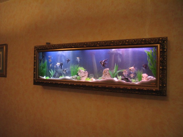 How'd you like this for an Aquarium?