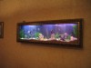 How'd you like this for an Aquarium?