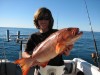 day seven - Nice Coral Trout