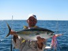 day three - yellowfin tuna