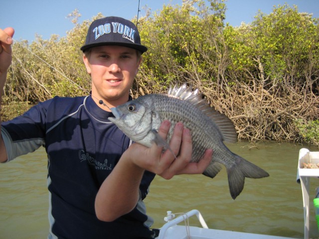 nice bream, released