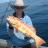 Hedland Bar-Cheek Coral Trout