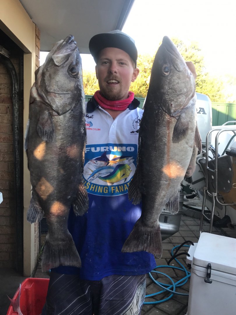 soft plastics species number 11
