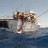 Blue Marlin - Monties - Mahi Mahi 11