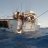 Billfish along side boat