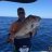 Nice Cervantes snapper from Monday, went 94cm.