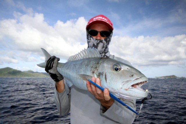 Fiji Jobfish - old fish