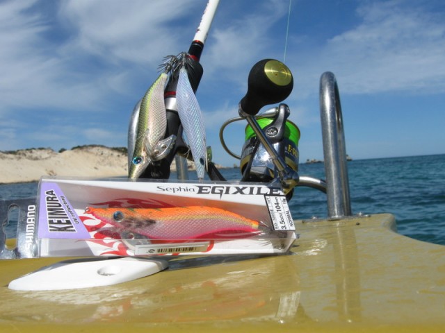 Shimano Sephia Egixile squid jigs.  Fishing -  - Fishing  WA. Fishing Photos & Videos