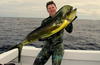 Poddy's Dolphinfish