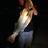 Solo Mulloway