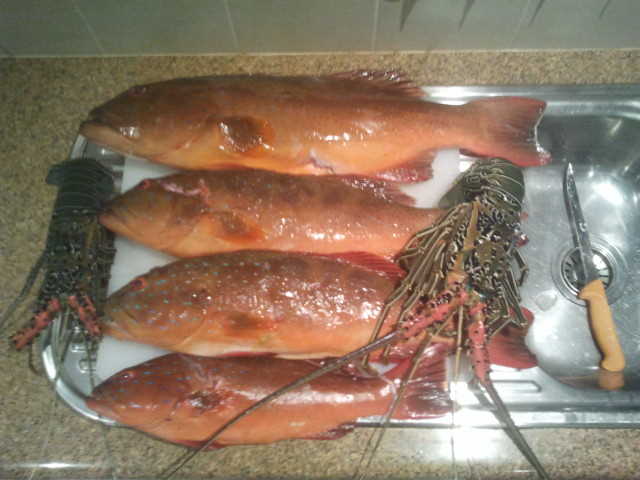 Some Nice Trout and a Couple of Crays