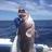 grey banded cod 