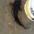 first flatty on jigs