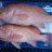 A couple of nice Breaksea Cods