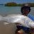 Aussie day barra