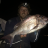 Last night got my limit only small but great Eating Size!