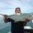 shark bay trevelly