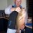 A mangrove jack I grew in my own tank from a 50mm fish