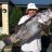 14kg Dhuie