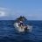 christmas island sail