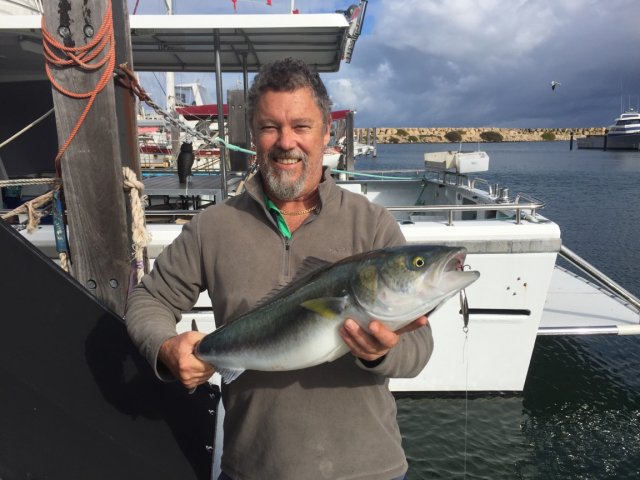 Salmon in the marina