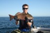 610mm Coral Trout on popper