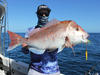 Rhys Burton's Pink Snapper