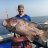 mild_to_wild's (chris) 24kg dhufish off bunbury