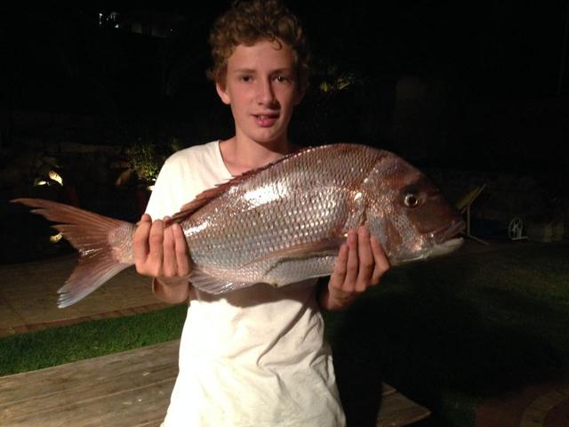 First Snapper