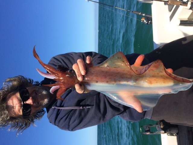 Big big squid  Fishing -  - Fishing WA. Fishing Photos &  Videos