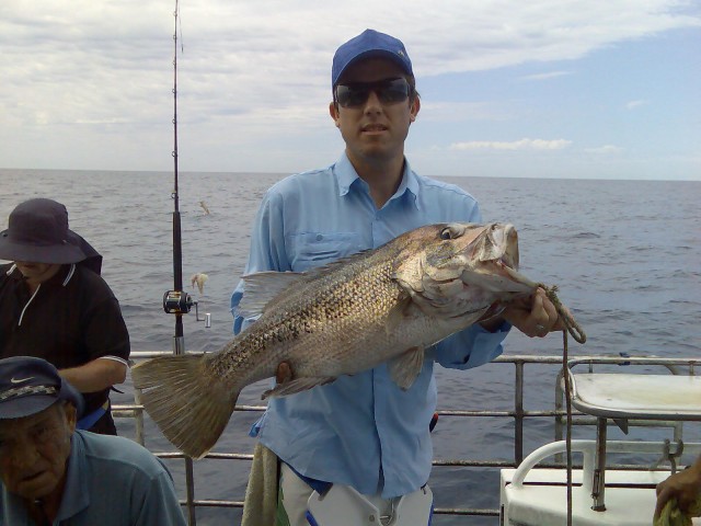 Dhuies today off mandurah