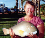 big Swan River squid 1