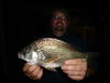 James's Black Bream