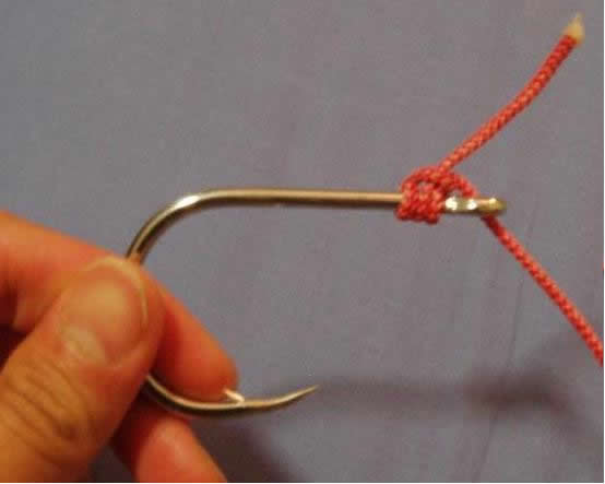 A constructive post - tying assist hooks  Fishing -  -  Fishing WA. Fishing Photos & Videos