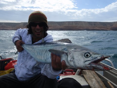 Kalbarri tinny spaniard