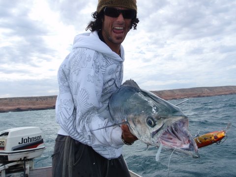 Bigger Kalbarri Spaniard