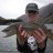 NZ Trout
