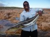 Another Cobia