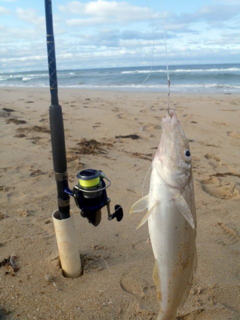 First fish for 2012