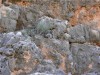 Yardie Creek Rock Wallaby